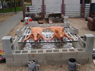 tn_SA5500371.JPG (640x480; 70444 bytes)