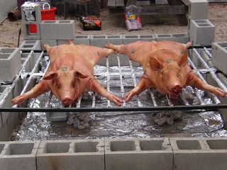 tn_SA5500381.JPG (640x480; 86175 bytes)