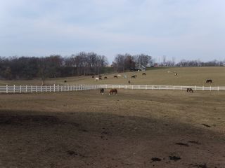 tn_SA5500501.JPG (640x480; 43055 bytes)