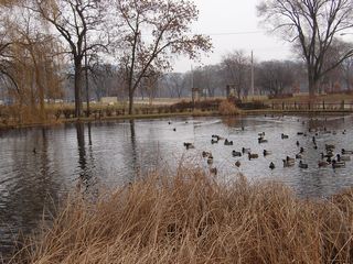 tn_SA5500861.JPG (640x480; 106697 bytes)