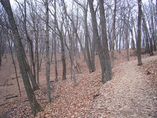 tn_SA5500891.JPG (640x480; 126627 bytes)