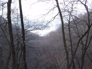 tn_SA5501141.JPG (640x480; 85386 bytes)