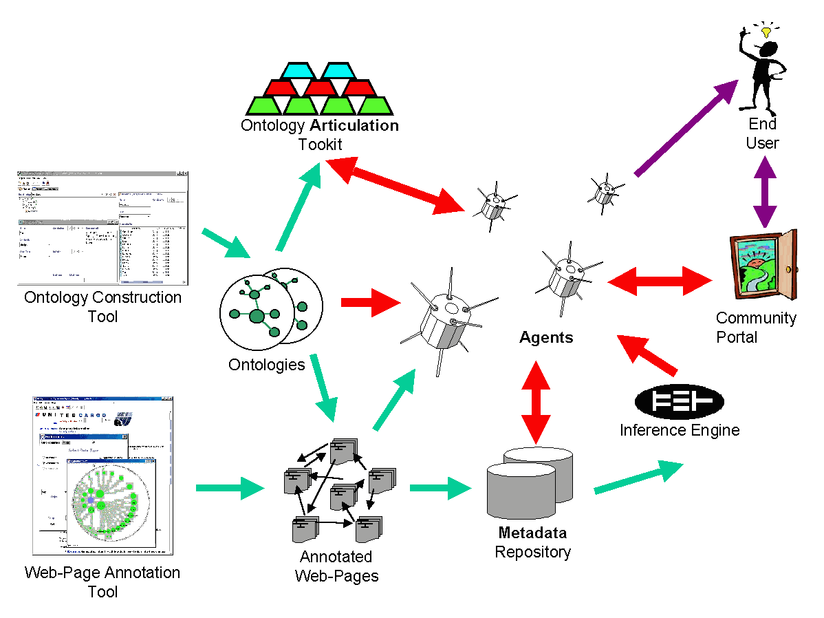 How do I create a food web diagram?