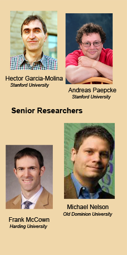 Senior
							     Researchers