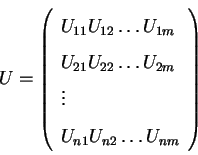 \begin{displaymath}U = \left( \begin{array}{llll}
U_{11} U_{12} \ldots U_{1m} \...
... \vdots \\
U_{n1} U_{n2} \ldots U_{nm}
\end{array} \right)
\end{displaymath}