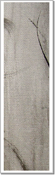 Text Box:  