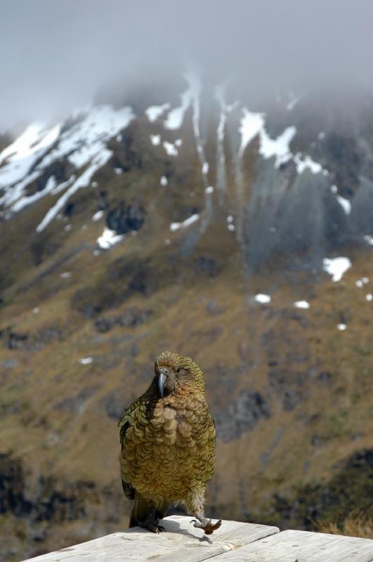 DSC_1491.JPG