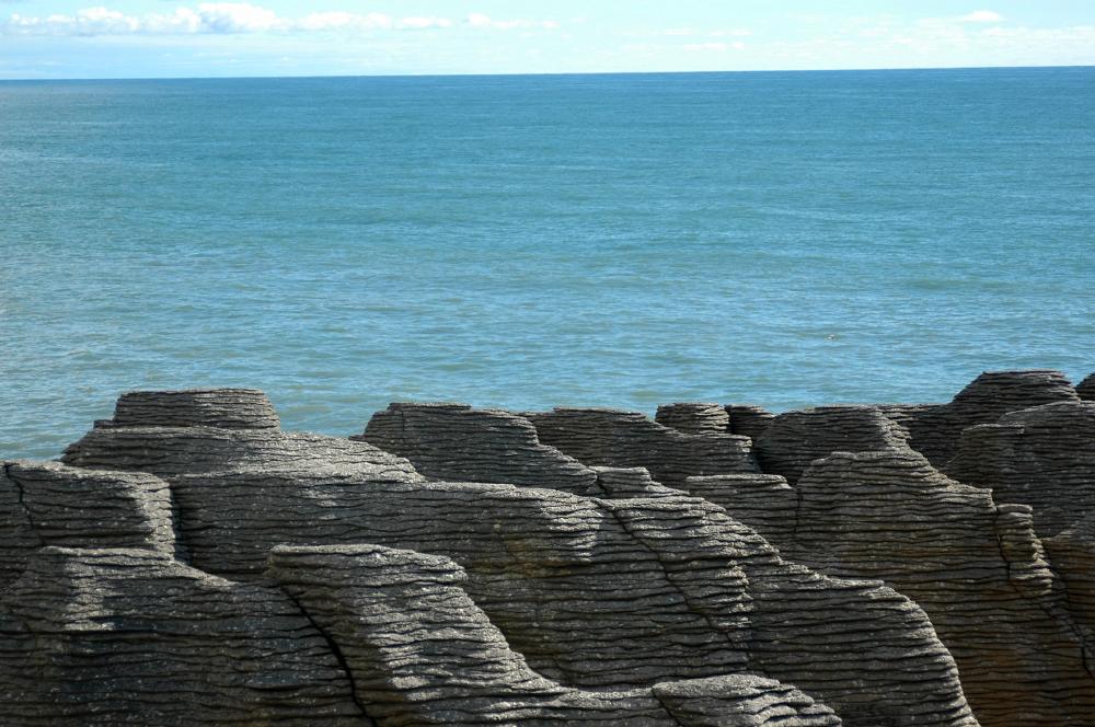 DSC_2227.JPG